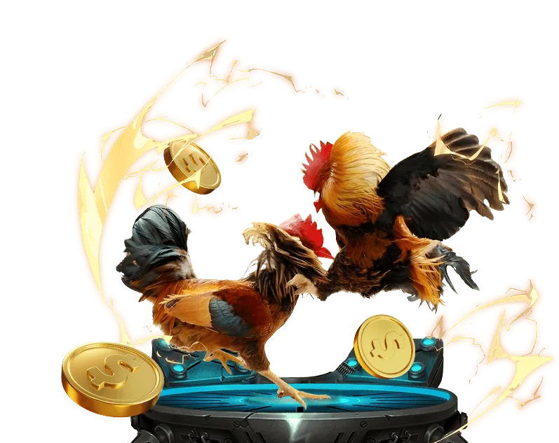 Các biện pháp tuân thủ GDPR của bi888 chính thức